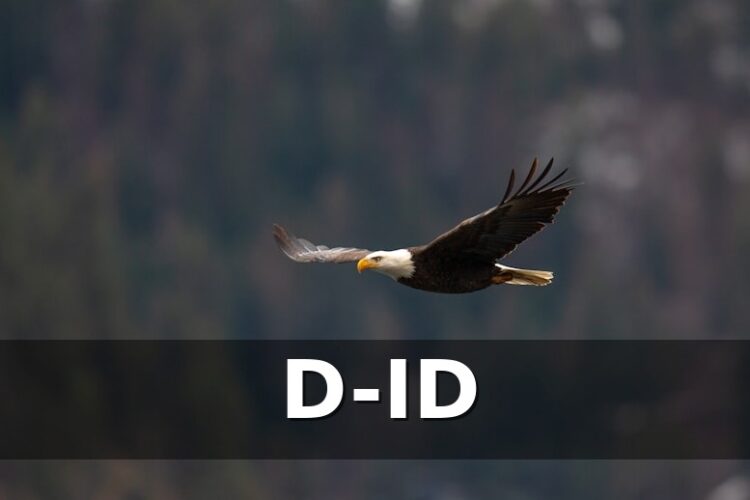 titan feat 1766343959 D ID