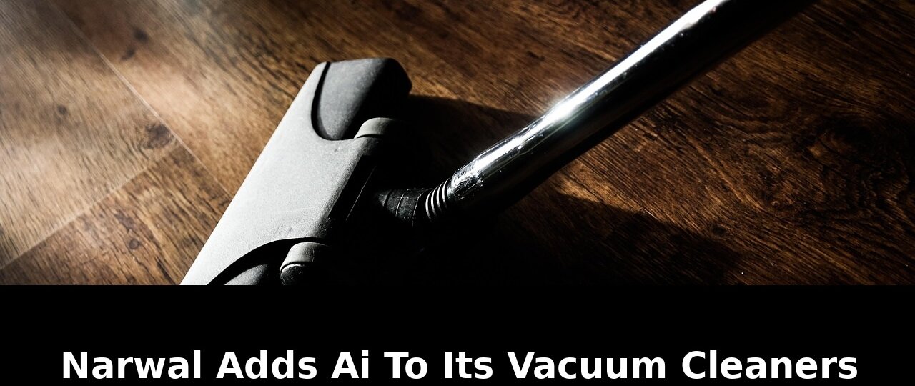 pets and find jewelry