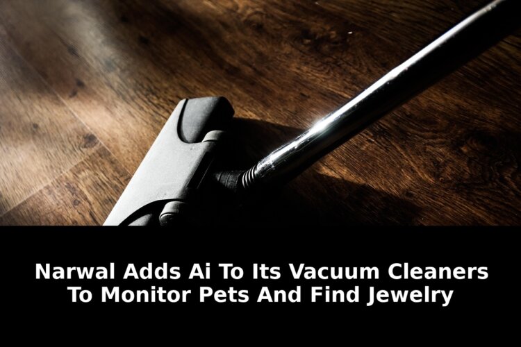 pets and find jewelry