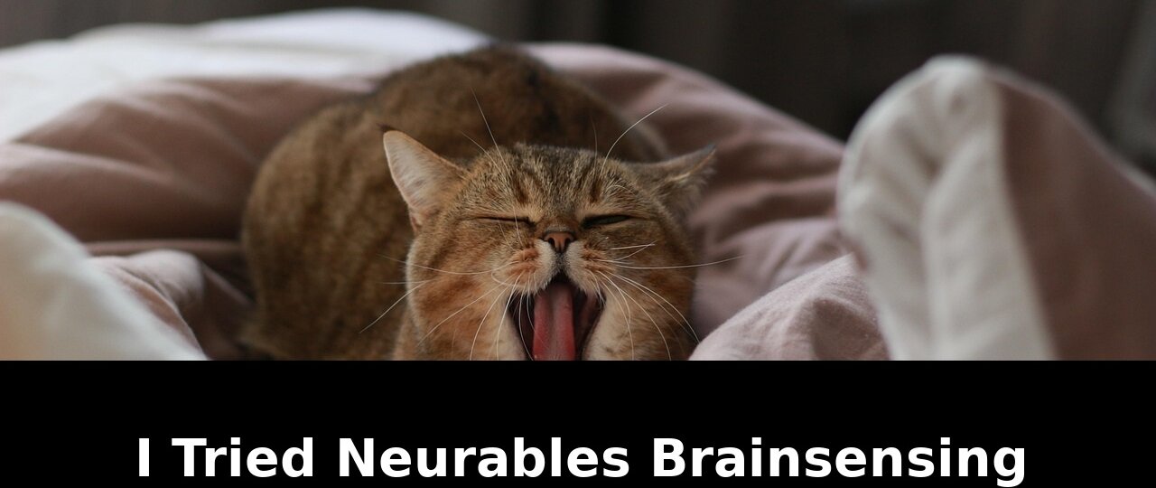 Didnrsquot just include your mouse: Shocking Update - 2026 1 didnrsquot just include your mouse