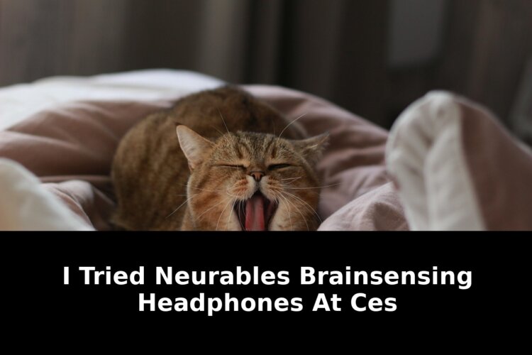 didnrsquot just include your mouse