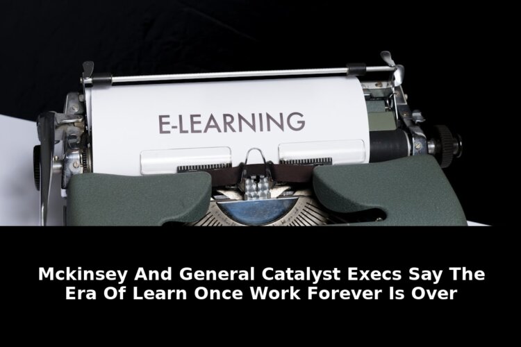 mckinsey and general catalyst execs