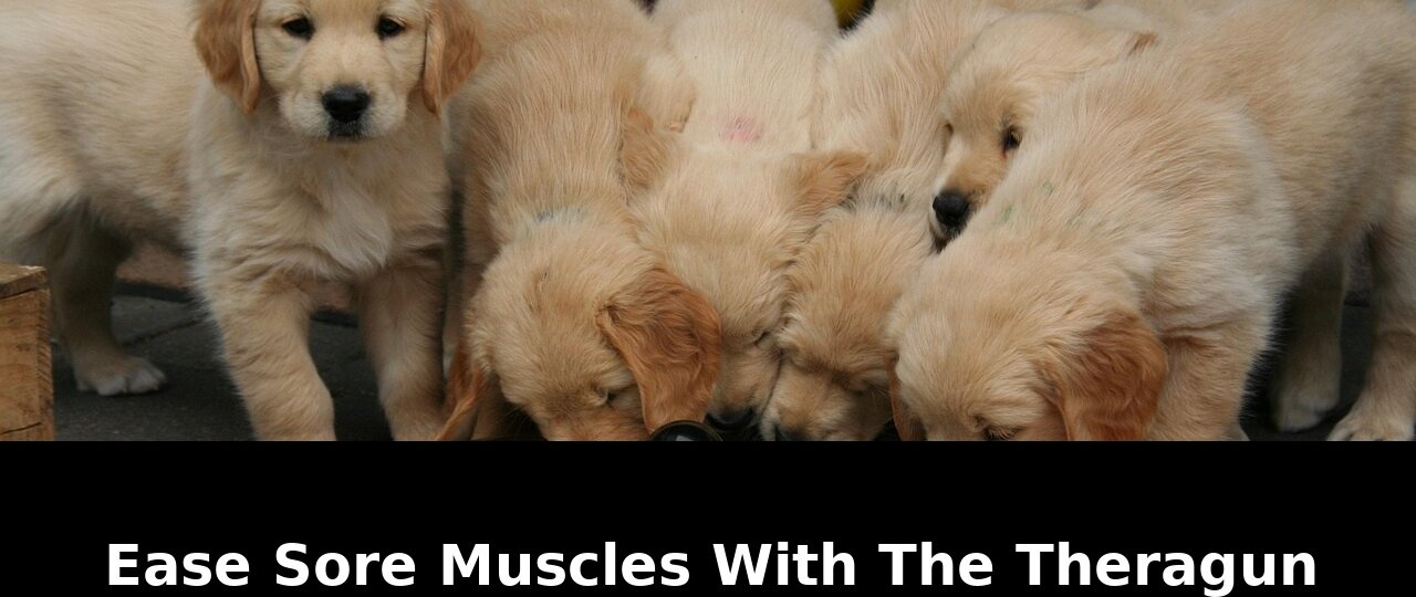 matches the lowest price weve