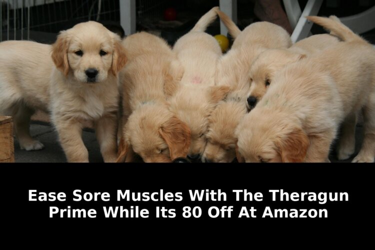 matches the lowest price weve