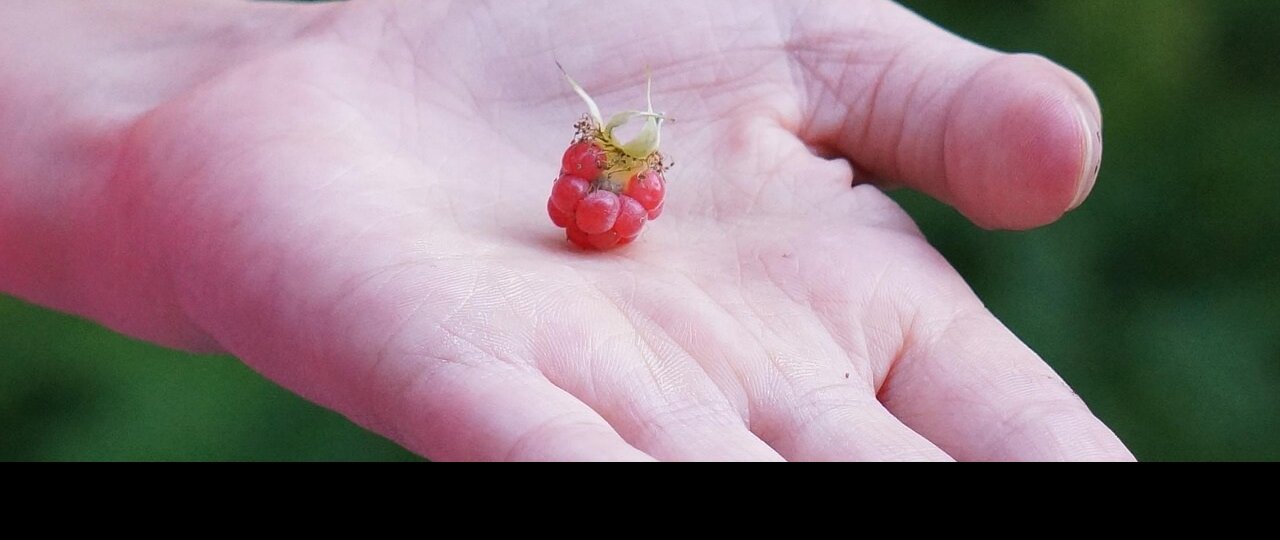 advice you probably dont want