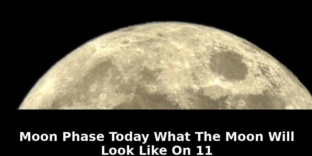 cycle the lunar cycle lasts