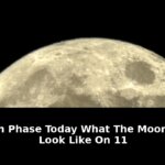 cycle the lunar cycle lasts