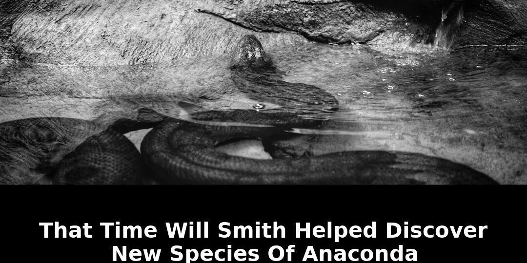 Shocking Time Will Smith Helped Discover A Secret Anaconda Species In 2026 1 time will smith helped discover
