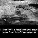 time will smith helped discover