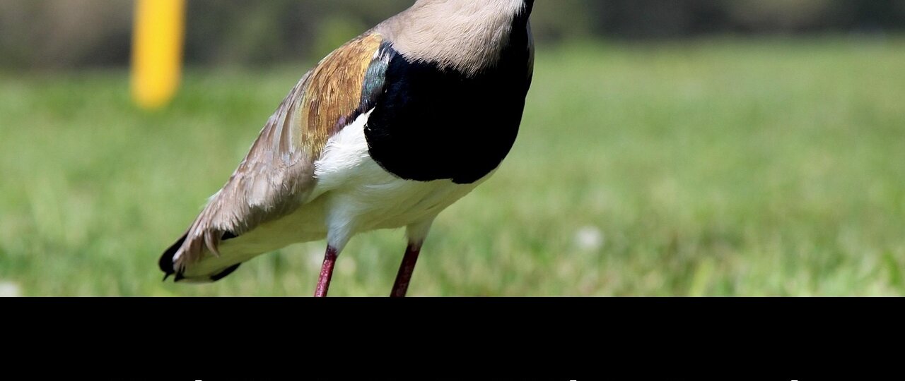 Openai lawsuit despite 700b fortune: Game-Changing Update - 2026 1 openai lawsuit despite 700b fortune