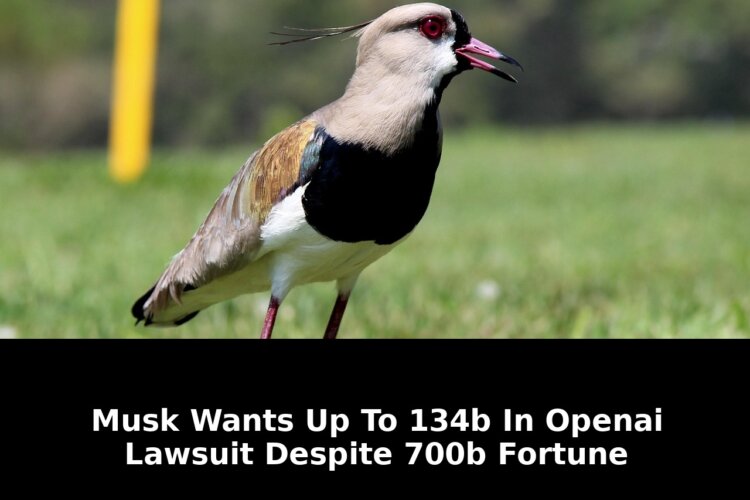 Openai lawsuit despite 700b fortune: Game-Changing Update - 2026 1 openai lawsuit despite 700b fortune