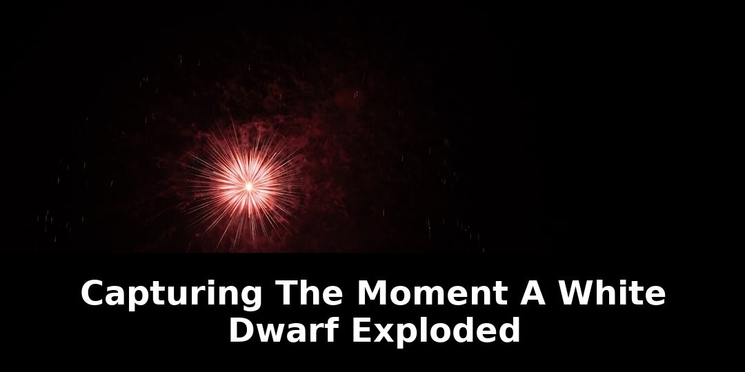 White dwarf explodeda research team: Game-Changing Update - 2026 1 white dwarf explodeda research team