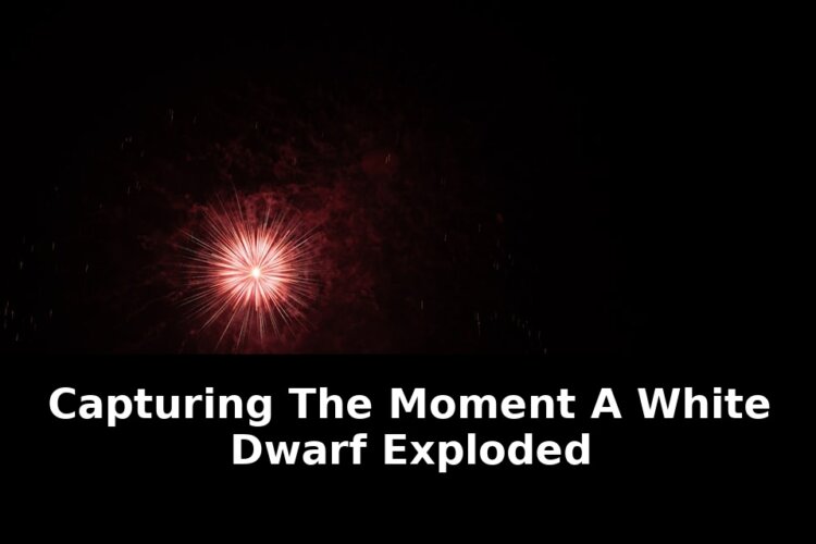 White dwarf explodeda research team: Game-Changing Update - 2026 2 white dwarf explodeda research team