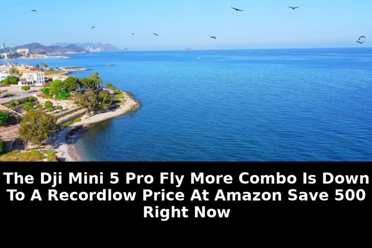 Credit dji dji mini: Exclusive Update - 2026 - January 2026 Guide 3 credit dji dji mini