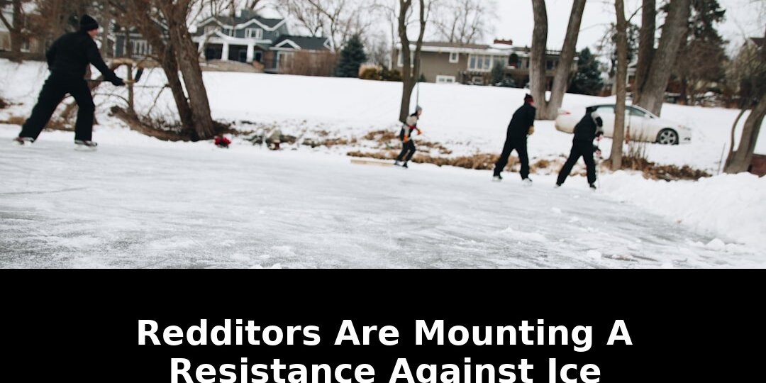 Federal agents shooting alex pretti: Must-Read Update - 2026 1 federal agents shooting alex pretti