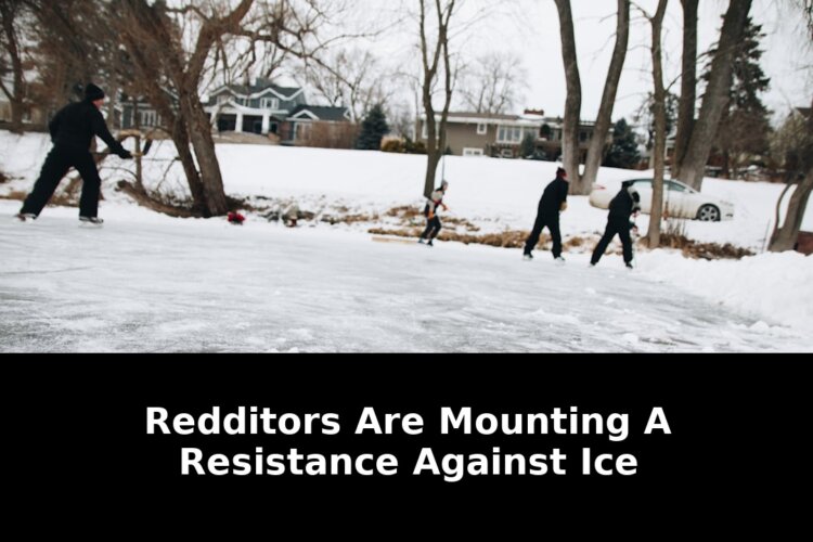 Federal agents shooting alex pretti: Must-Read Update - 2026 1 federal agents shooting alex pretti