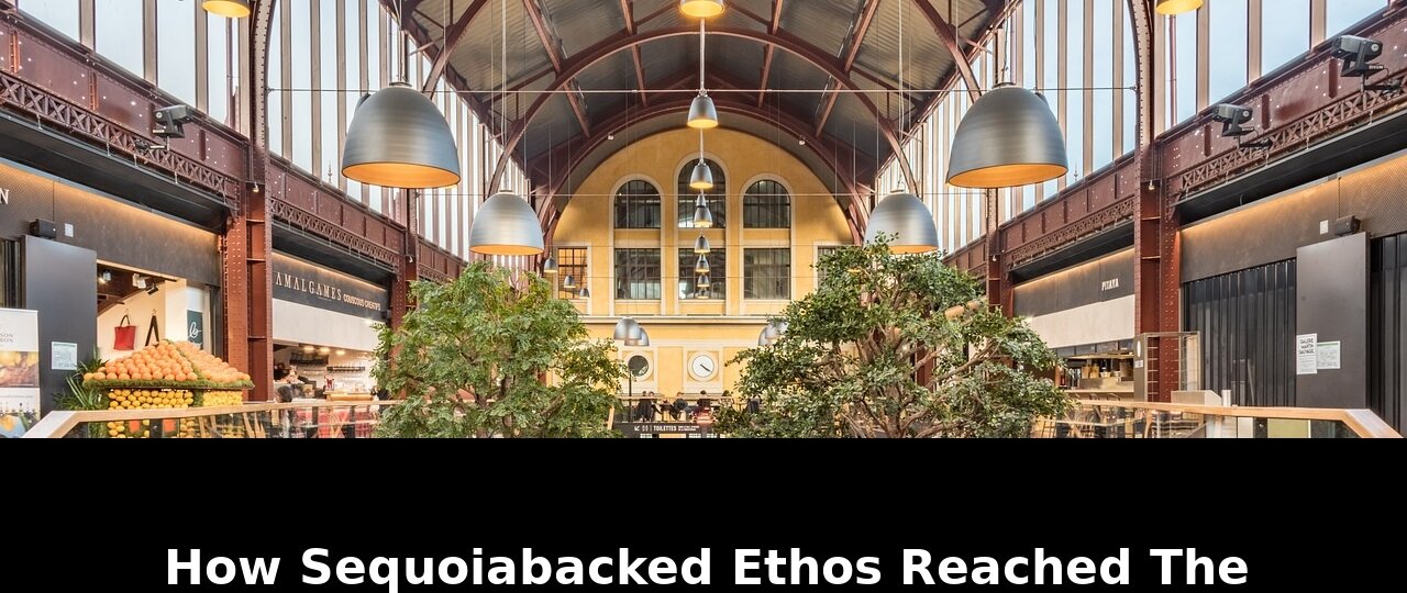 Reached the public market while: Game-Changing Update - 2026 1 reached the public market while