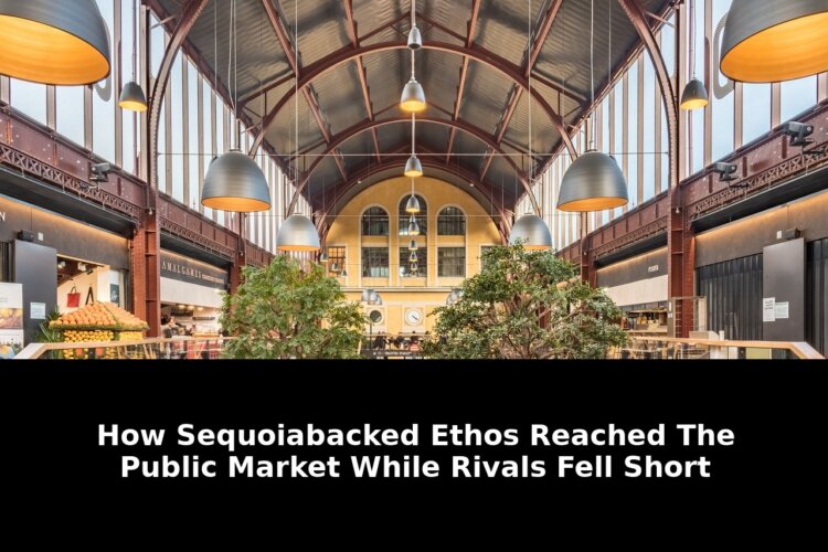 Reached the public market while: Game-Changing Update - 2026 1 reached the public market while