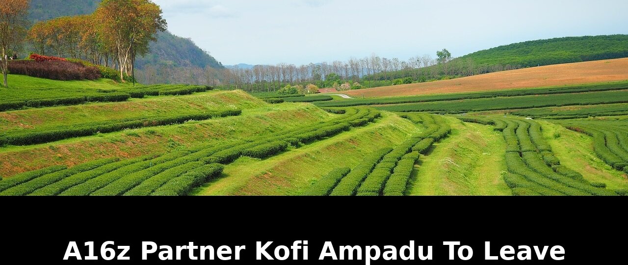 Firm after txo program pause: Game-Changing Update - 2026 1 firm after txo program pause