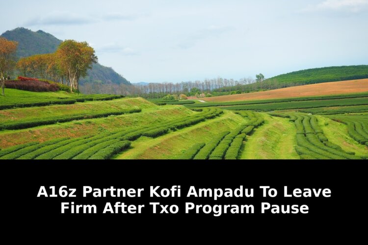 Firm after txo program pause: Game-Changing Update - 2026 1 firm after txo program pause