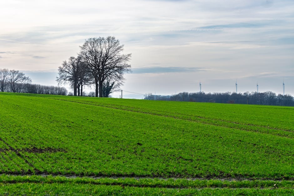 Nutex: Stellar Growth But Sustainability Doubts Linger