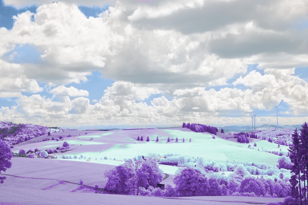 Answer engine optimization trends in 2026: How AEO is transforming the landscape