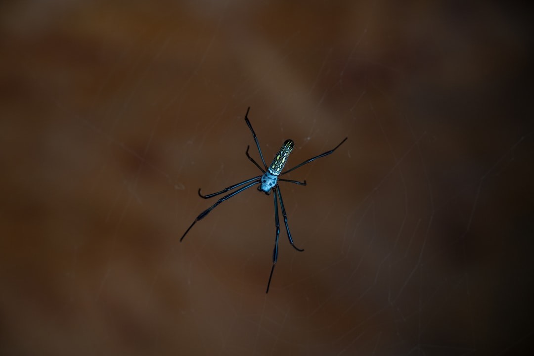 Operations now marketing agents support: Essential Update - 2026 2 We Had a Bug in One of Our 20+ AI Agents. It Took Forever to Figure Out Which One. This is Going to Be a Real Problem.