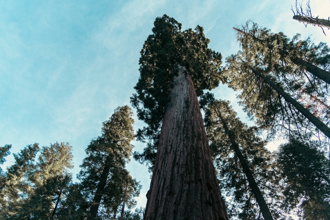 Sequoia partners new startup uses: Exclusive Update - 2026 2 Former Sequoia partner’s new startup uses AI to negotiate your calendar for you