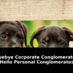 Bye-bye corporate conglomerates hello personal: Breaking Update - 2026 2 bye-bye corporate conglomerates hello personal