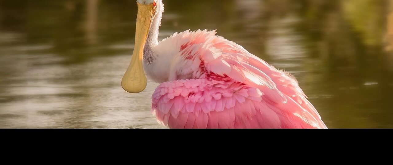 Bill gates says accusations contained: Must-Read Update - 2026 1 bill gates says accusations contained