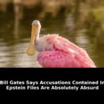 Bill gates says accusations contained: Must-Read Update - 2026 2 bill gates says accusations contained