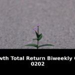 Total return bi-weekly chat 02/02/2026: Shocking Update - 2026 2 total return bi-weekly chat 02/02/2026
