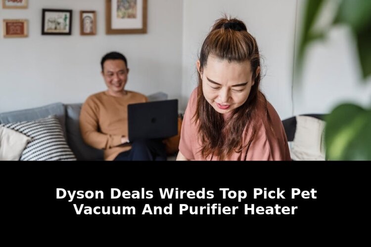 Vacuum and purifier heater: Must-Read Update - 2026 1 vacuum and purifier heater