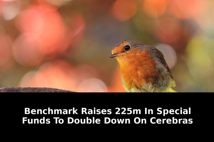 Cerebras techcrunch techcrunch desktop logo: Must-Read Update - 2026 2 cerebras techcrunch techcrunch desktop logo