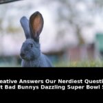 Creative answers our nerdiest question: Breaking Update - 2026 6 creative answers our nerdiest question