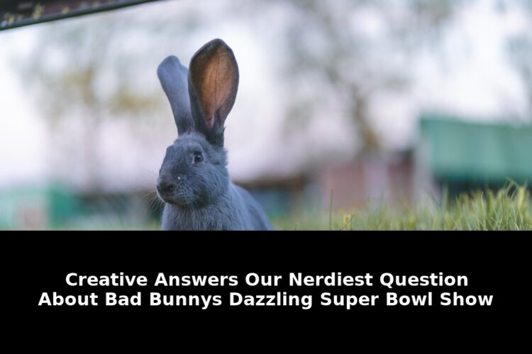 Creative answers our nerdiest question: Breaking Update - 2026 1 creative answers our nerdiest question