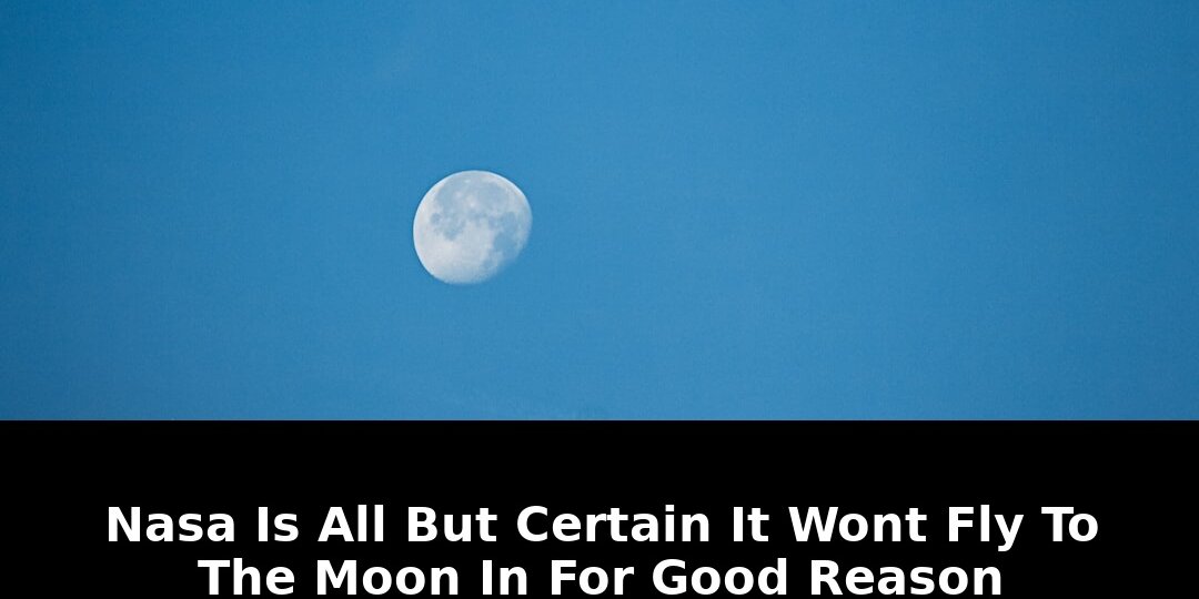 March for good reason: Exclusive Update - 2026 - February 2026 Guide 1 march for good reason - Publicancy