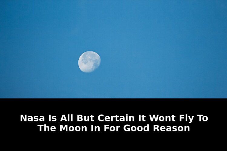 March for good reason: Exclusive Update - 2026 - February 2026 Guide 2 march for good reason - Publicancy