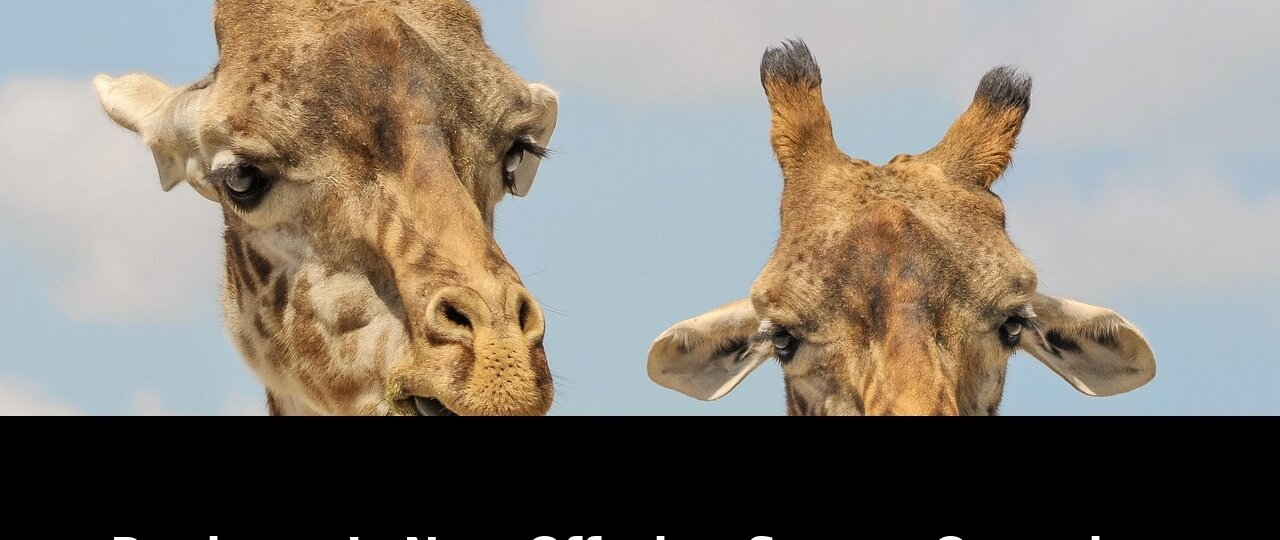 Offering secure openclaw agentic capabilities: Shocking Update - 2026 1 offering secure openclaw agentic capabilities - Publicancy