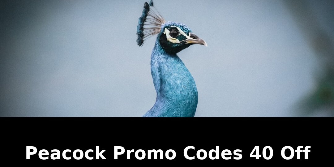 Best smart ringssony headphones deal: Shocking Update - 2026 1 best smart ringssony headphones deal - Publicancy