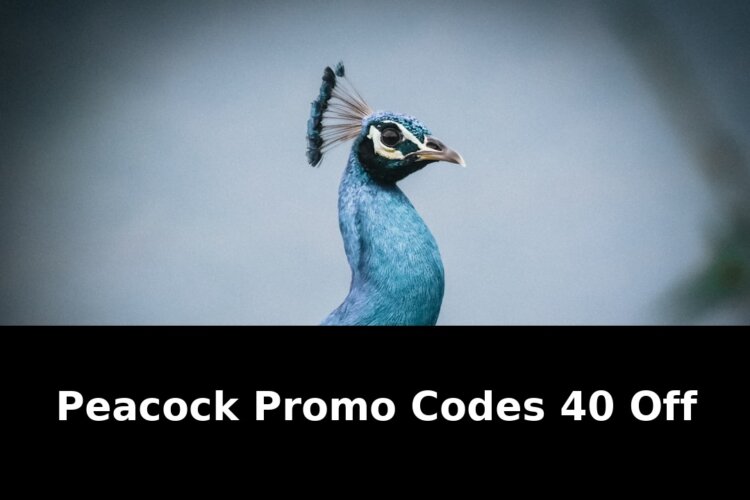 Best smart ringssony headphones deal: Shocking Update - 2026 1 best smart ringssony headphones deal - Publicancy