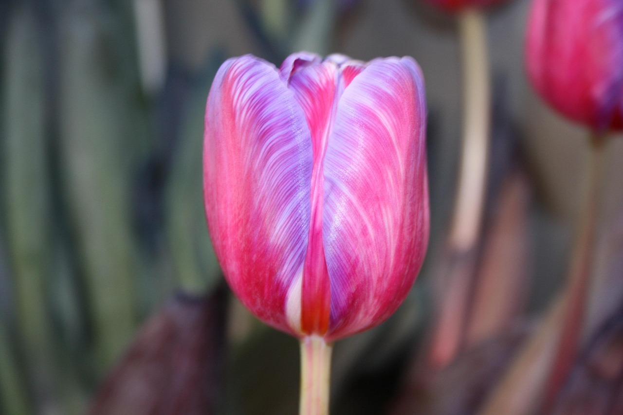 Mampa hit record highs last: Critical Update - 2026 2 PE Is No Longer Coming to the Rescue. And That Probably Means No One Will.