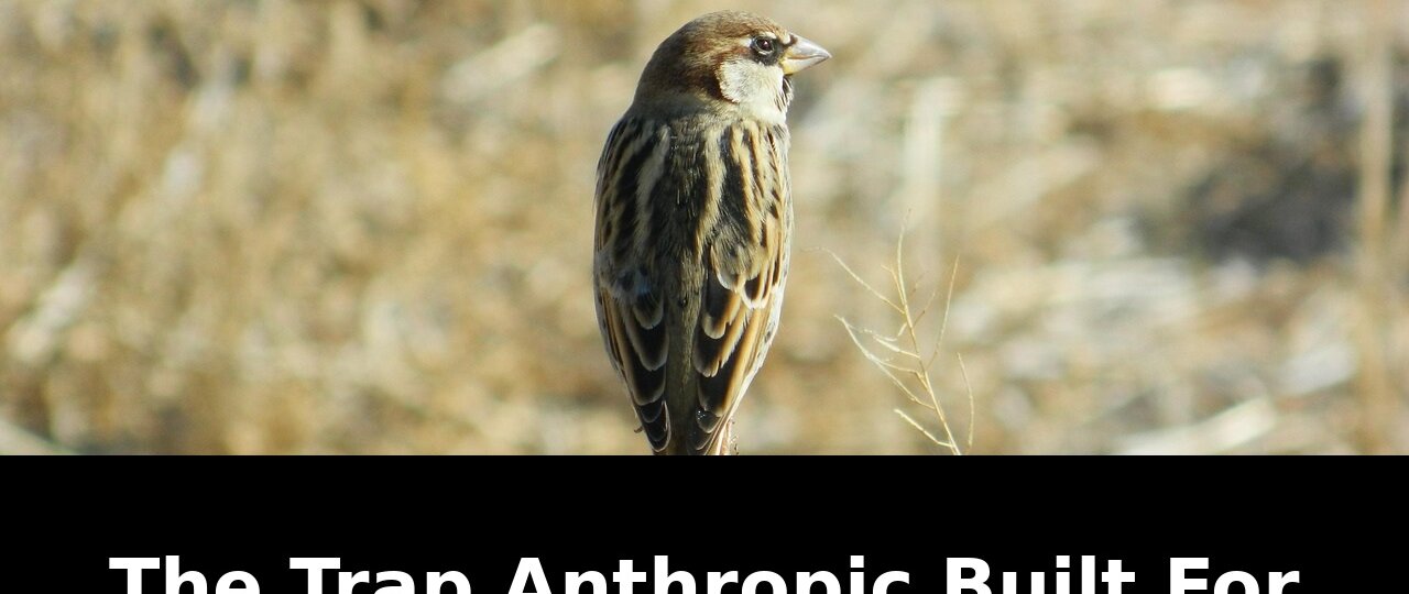 Itself the trap anthropic built: Essential Update - 2026 1 itself the trap anthropic built - Publicancy