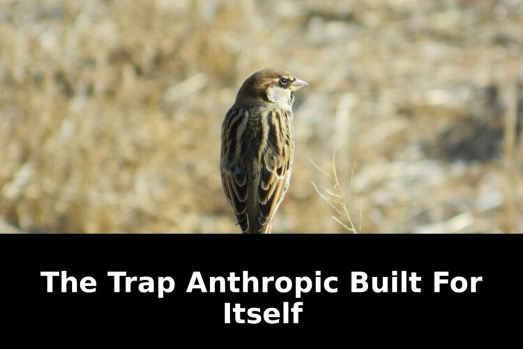 Itself the trap anthropic built: Essential Update - 2026 1 itself the trap anthropic built - Publicancy