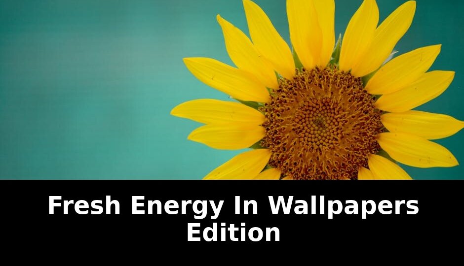 Wallpapers edition blooming flowers longer: Breaking Update - 2026 1 wallpapers edition blooming flowers longer - Publicancy