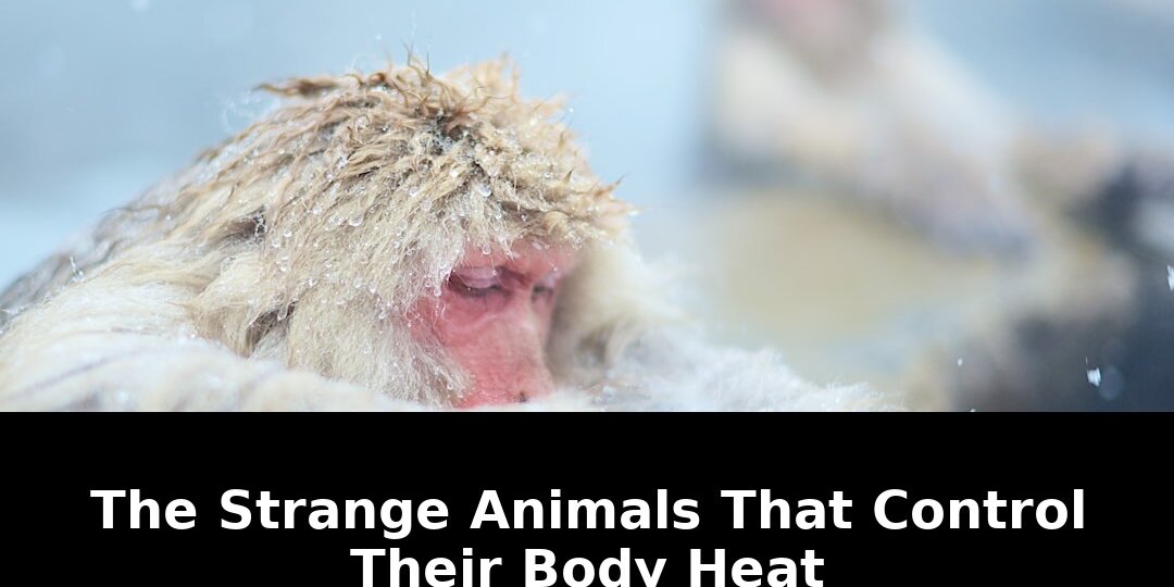 Exclusive: Animals That Control Their Body Heat in Ways That Will Shock You! 1 animals that control their body - Publicancy