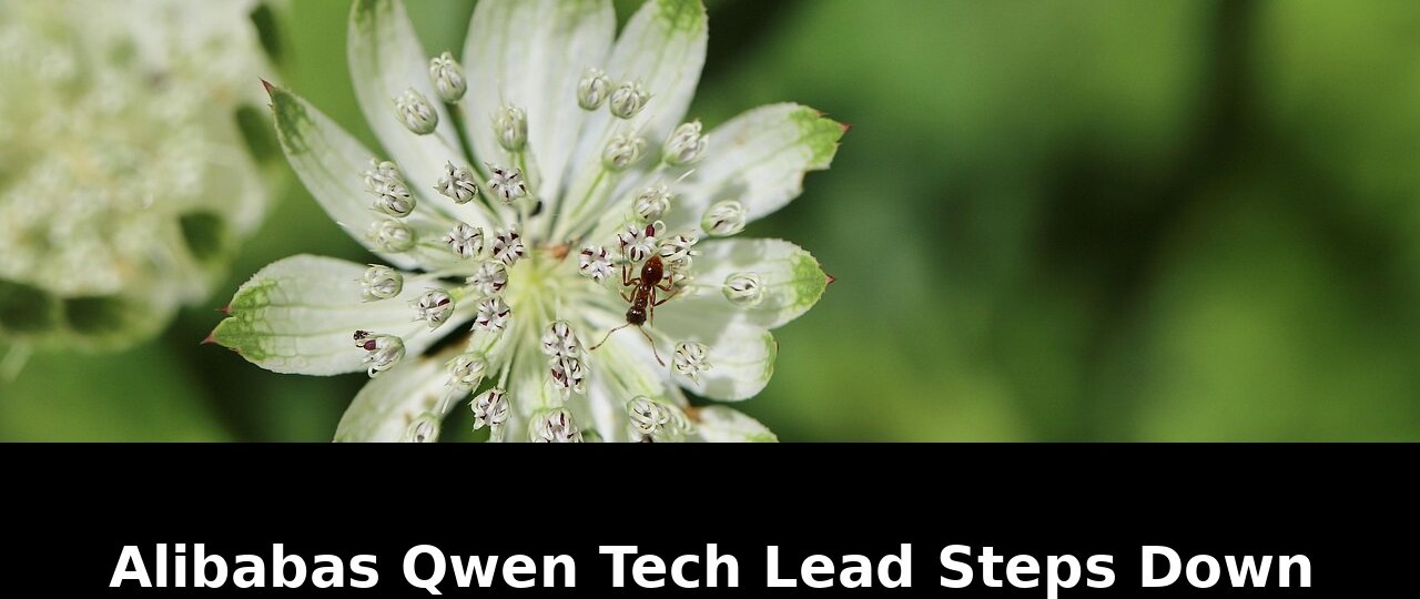 Qwen Tech Lead Steps Down: What This Means for Alibabas AI Future in 2026 1 qwen tech lead steps - Publicancy