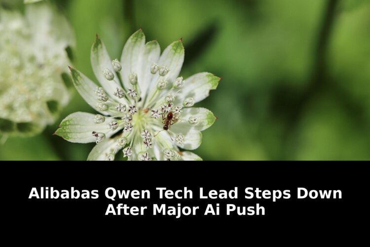 Qwen Tech Lead Steps Down: What This Means for Alibabas AI Future in 2026 2 qwen tech lead steps - Publicancy