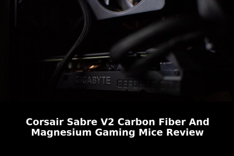 Fiber and magnesium gaming: Essential Update - 2026 1 fiber and magnesium gaming - Publicancy