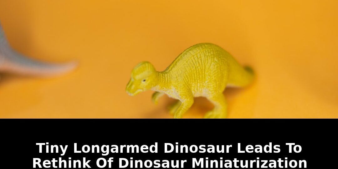 Alvarezsaurids were mostly small-bodied theropods: Game-Changing Update - 2026 1 alvarezsaurids were mostly small-bodied theropods - Publicancy